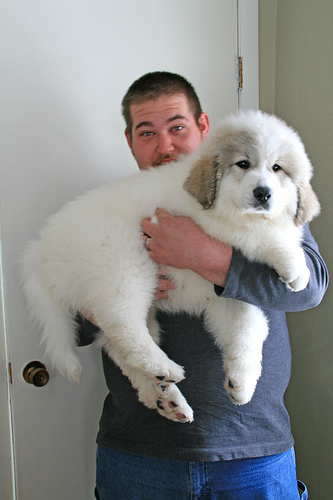 Big Puppy on Flickr
