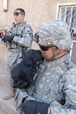 Operation Puppy Love   Bringing DJ Home