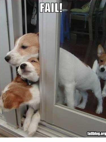 Puppy: FAIL