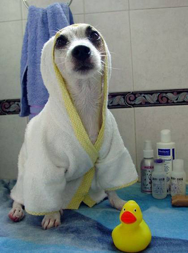 Bath lovers and haters