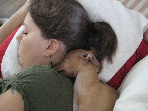10 Cutest Sleeping Puppies Photo 10 Cutest Sleeping Puppies