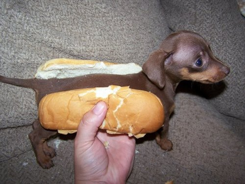 Real Hot Dog