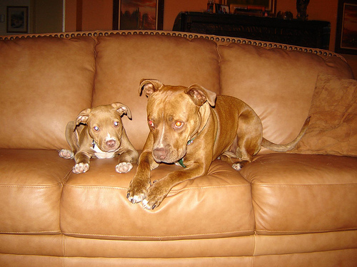 Lucie and Allie Photo Lucie and Allie