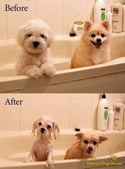 Before and After