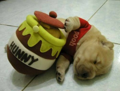Winnie The Pooh~~