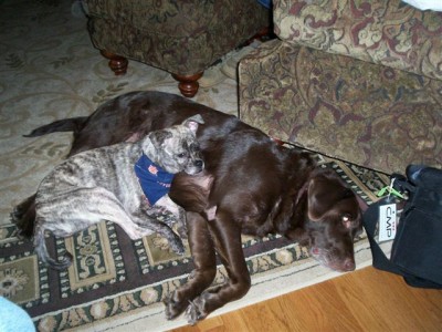 Boo and Hershey