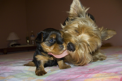Mama Says Clean your Chin