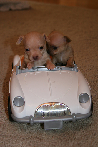 Taking a Ride