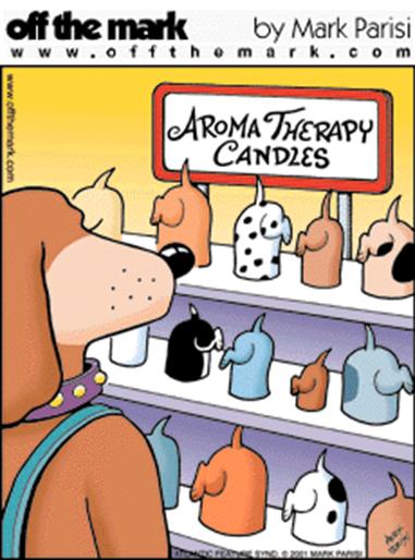 Dog Humor