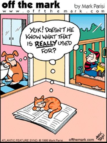 Dog Humor