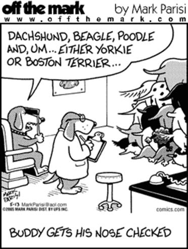 Dog Humor