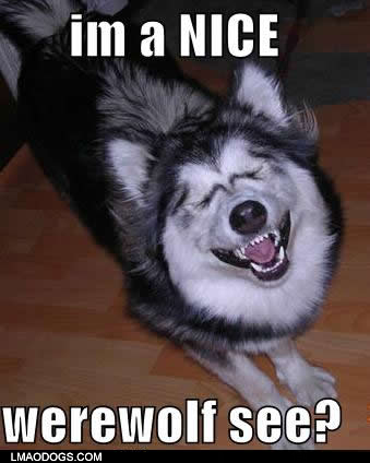 I’m a nice werewolf…