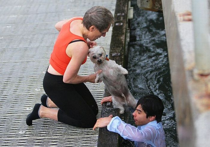 Puppy Rescue