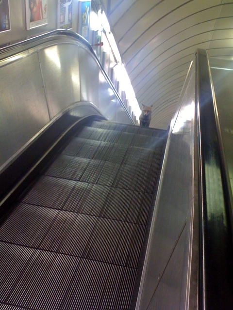 London Tube