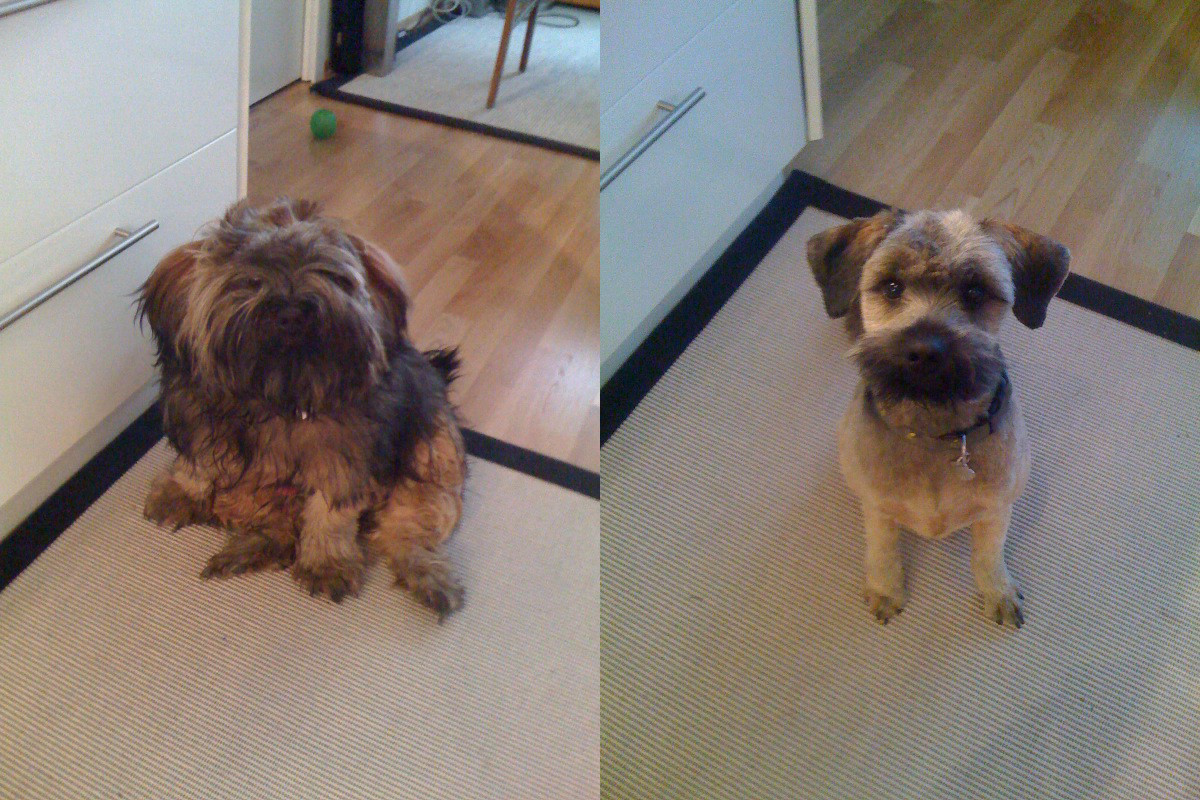 Before & After