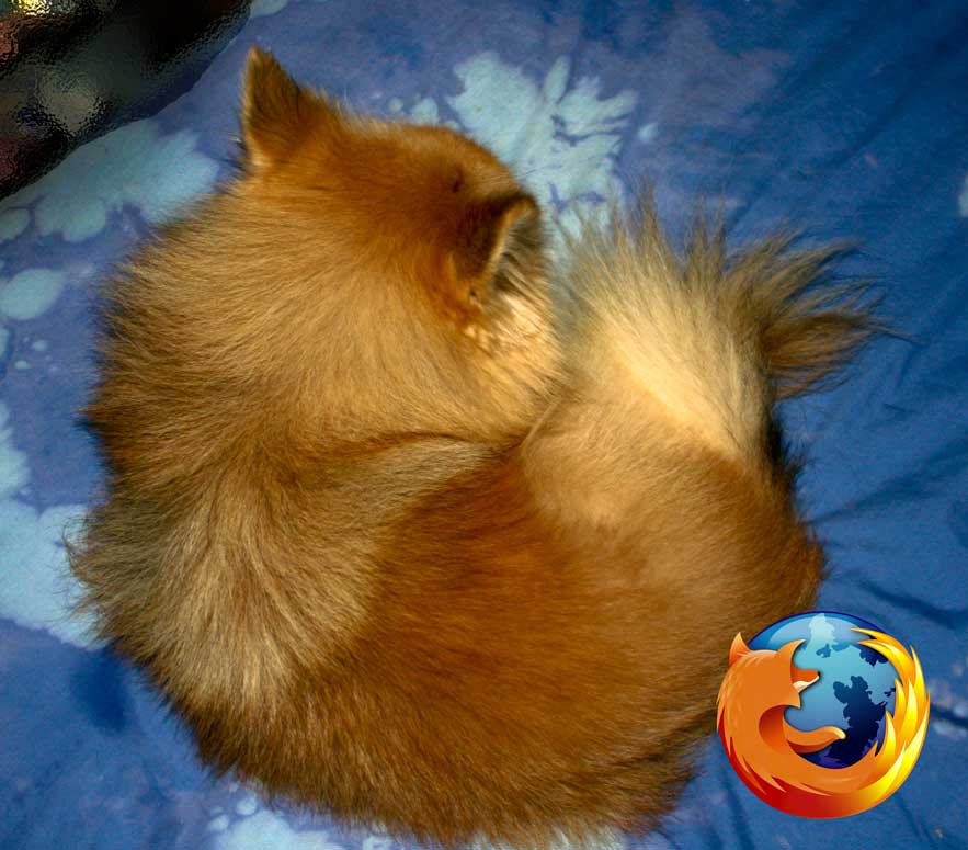 Firefox