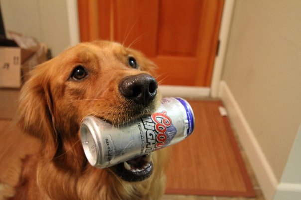 How About A Beer
