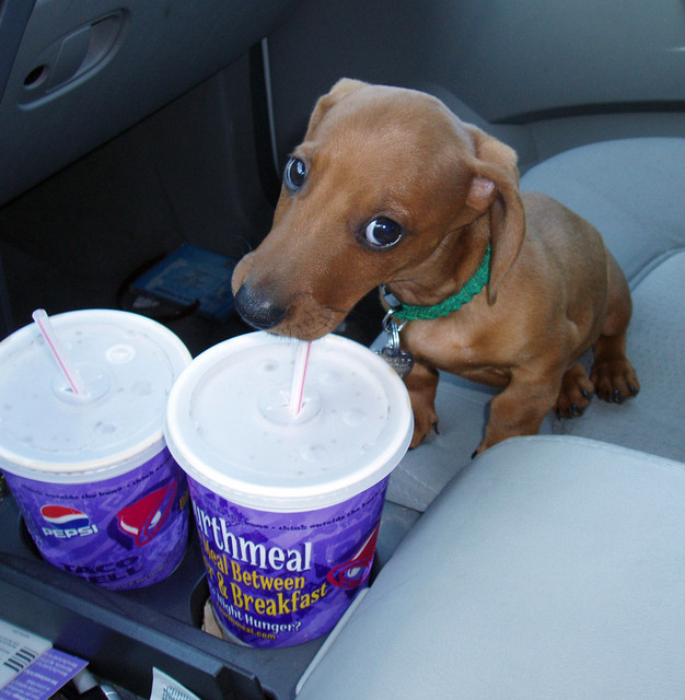 Thirsty
