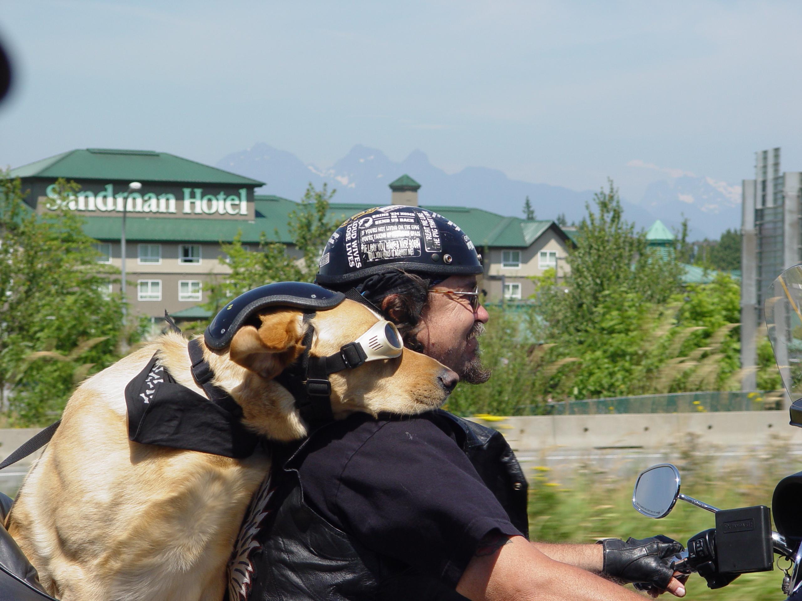 Biker