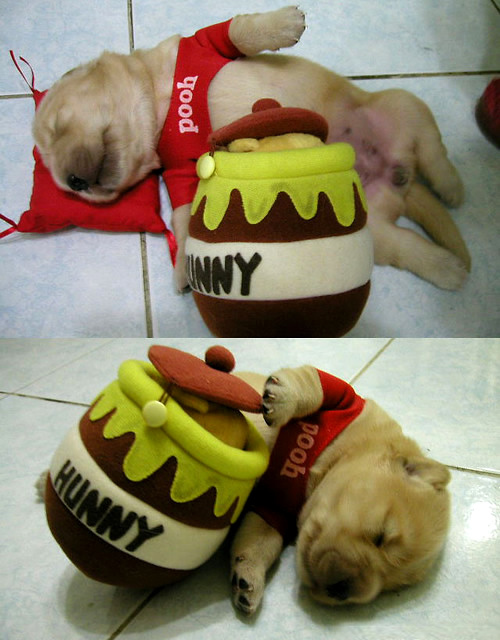 Winnie The Pooh