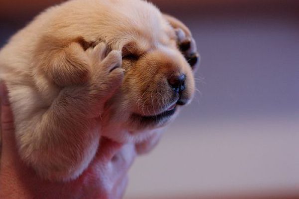 Oh No~