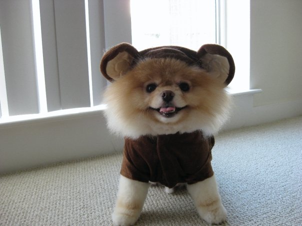OMG ITS A BEAR! RUN!