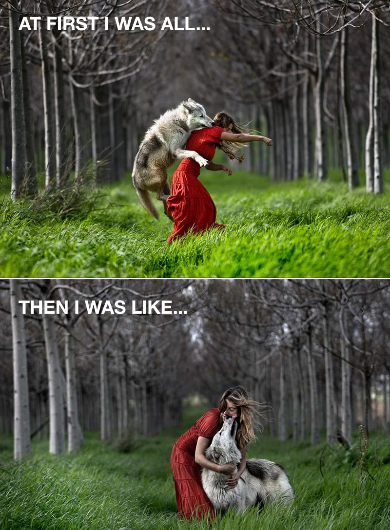 Little Red Riding Hood