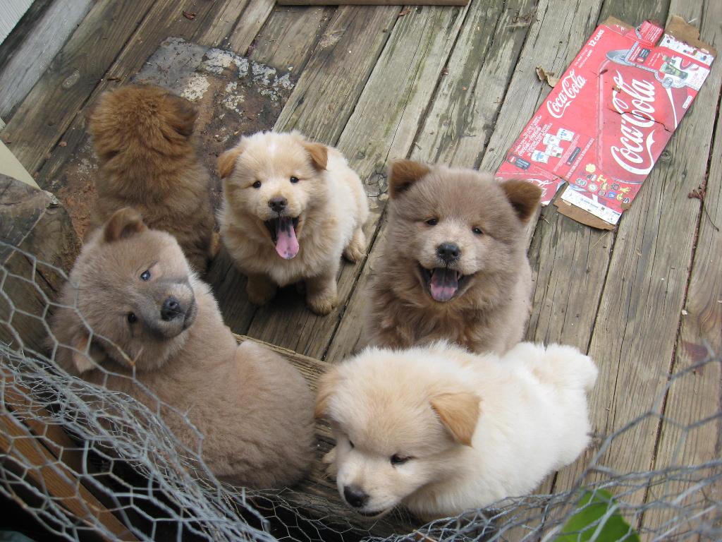 SMILE! Its Friday.