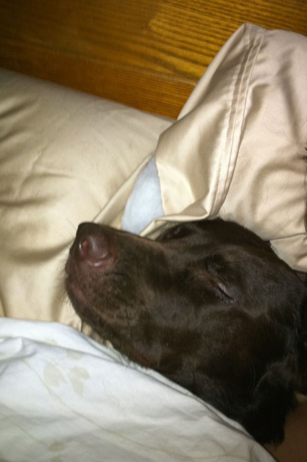 Shhhhh... Dont tell him hes not a human