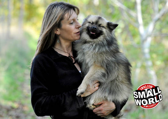 Blind German Spitz