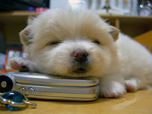 Just waitin for your call Photo Just waitin for your call