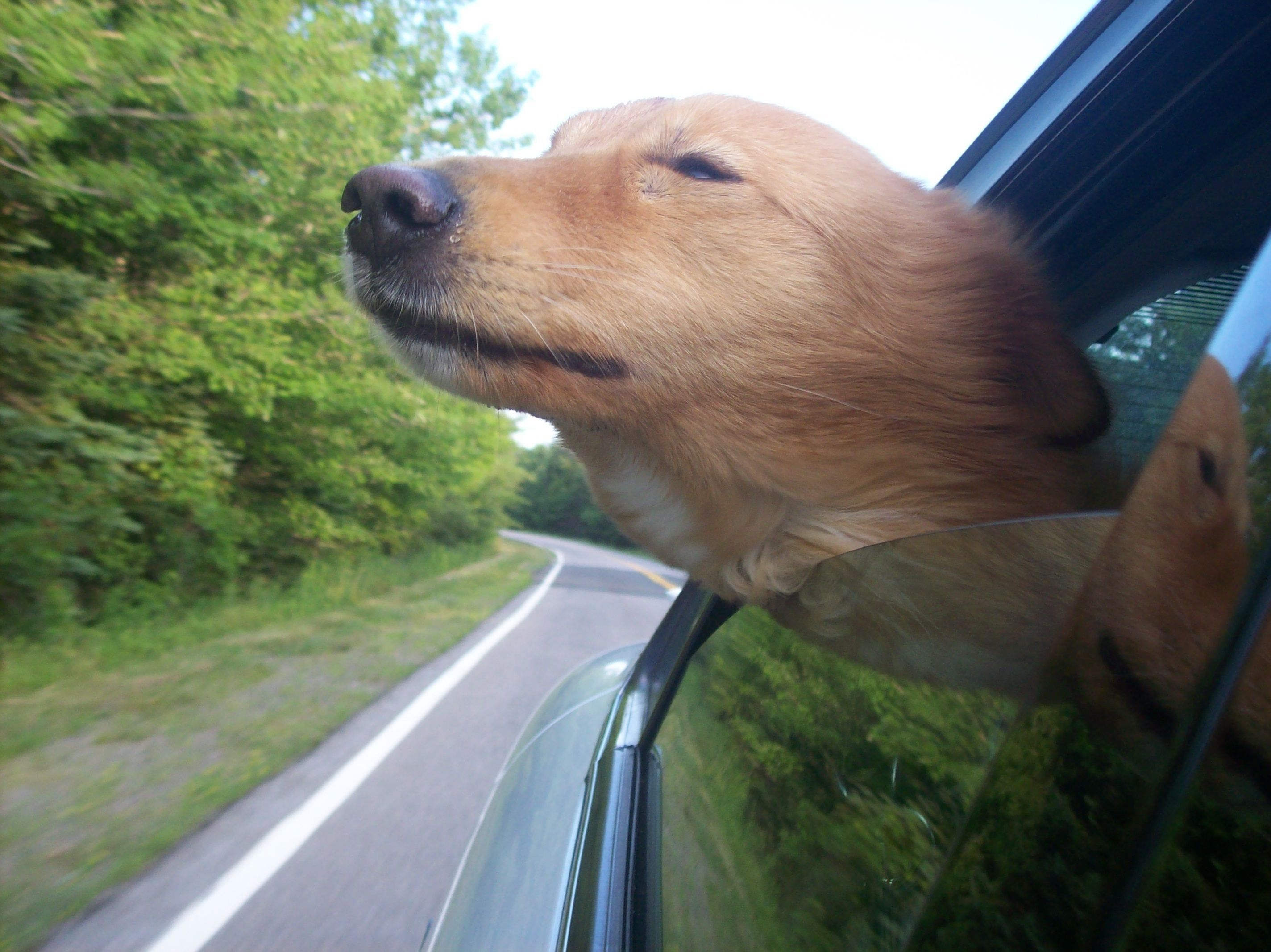 Joy ride Photo Joy ride