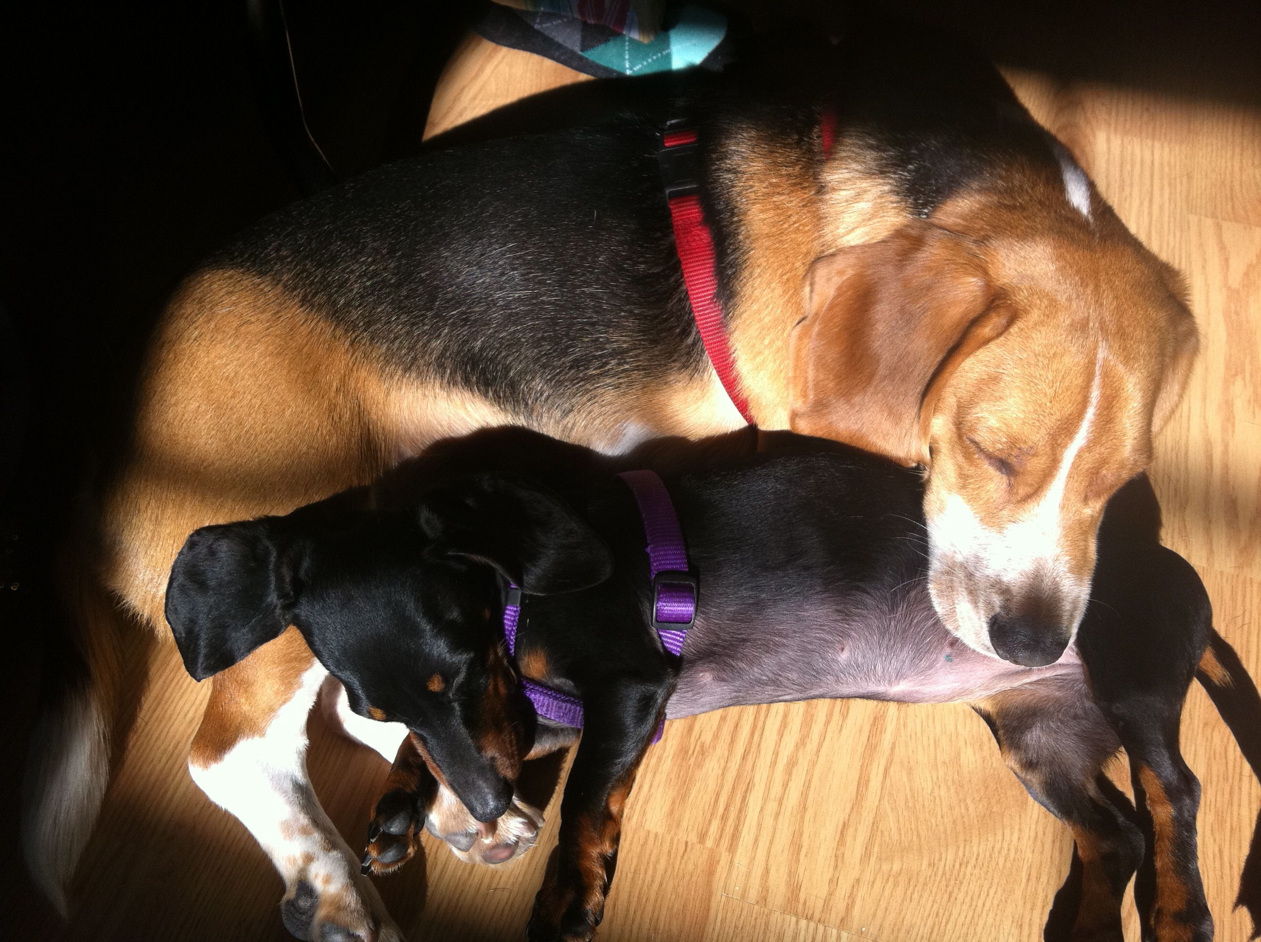 Napping