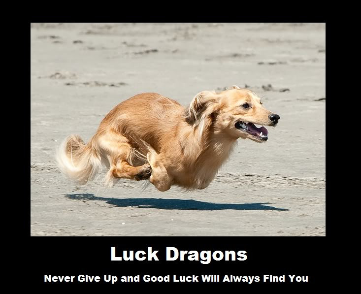 Now THIS is a luck dragon... Photo Now THIS is a luck dragon...