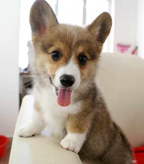 THAT FACE! Photo THAT FACE!