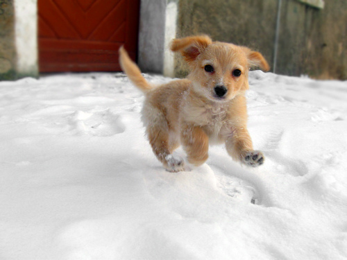 Snooooooooooooooooooooow! Photo Snooooooooooooooooooooow!